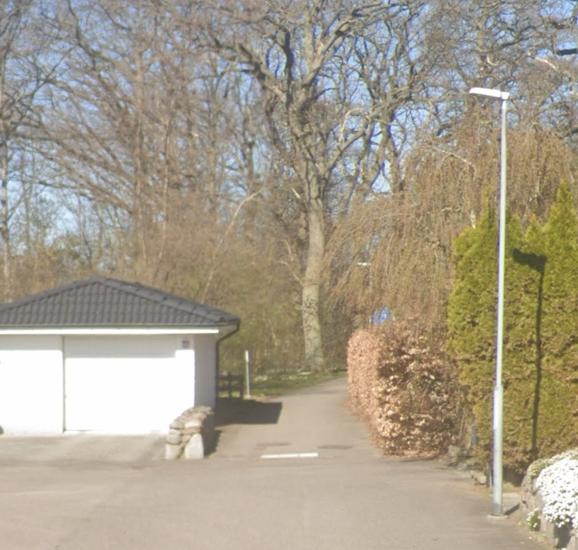 vicipeskogen-2.jpeg