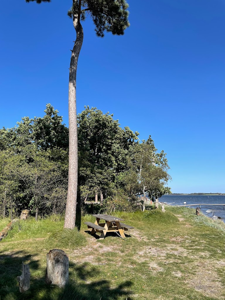 bognaes-forest-camp-11.jpeg
