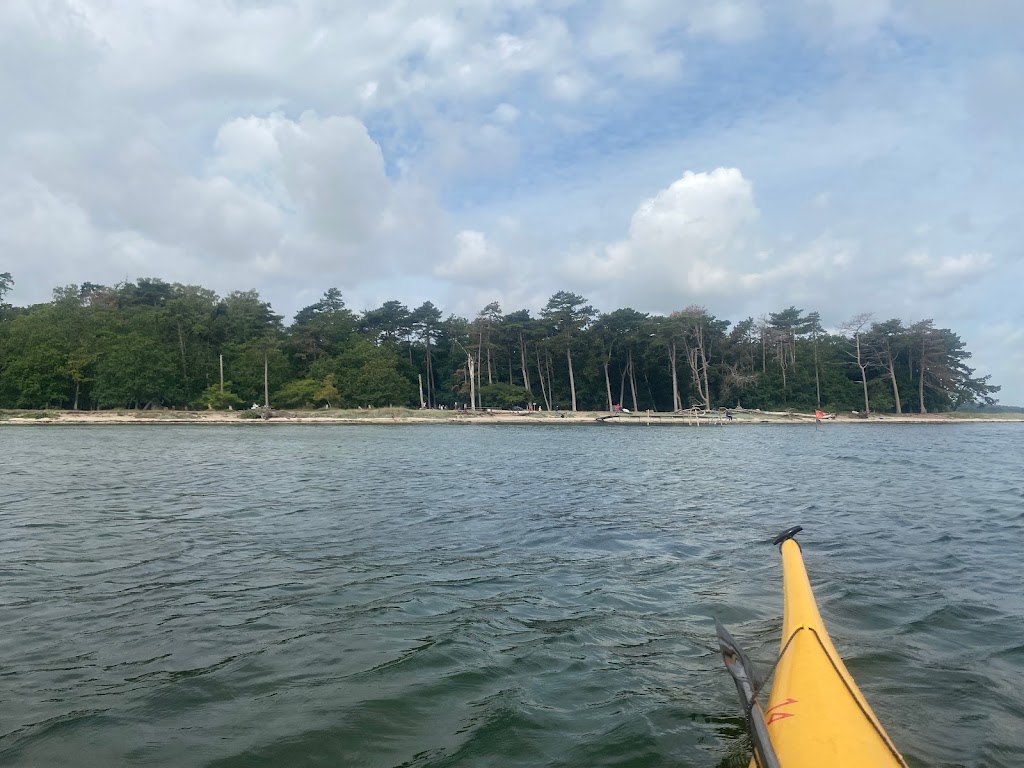 bognaes-forest-camp-3.jpeg