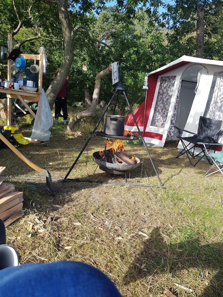 bognaes-forest-camp-6.jpeg