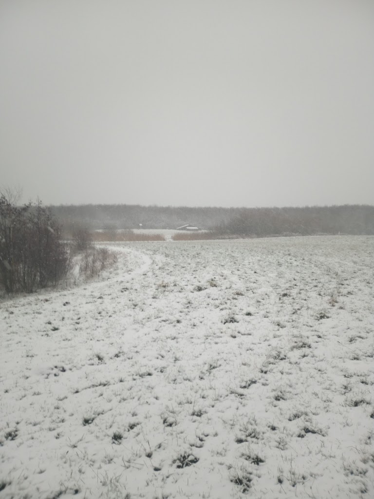 faelleden-holbaek-east-0.jpeg