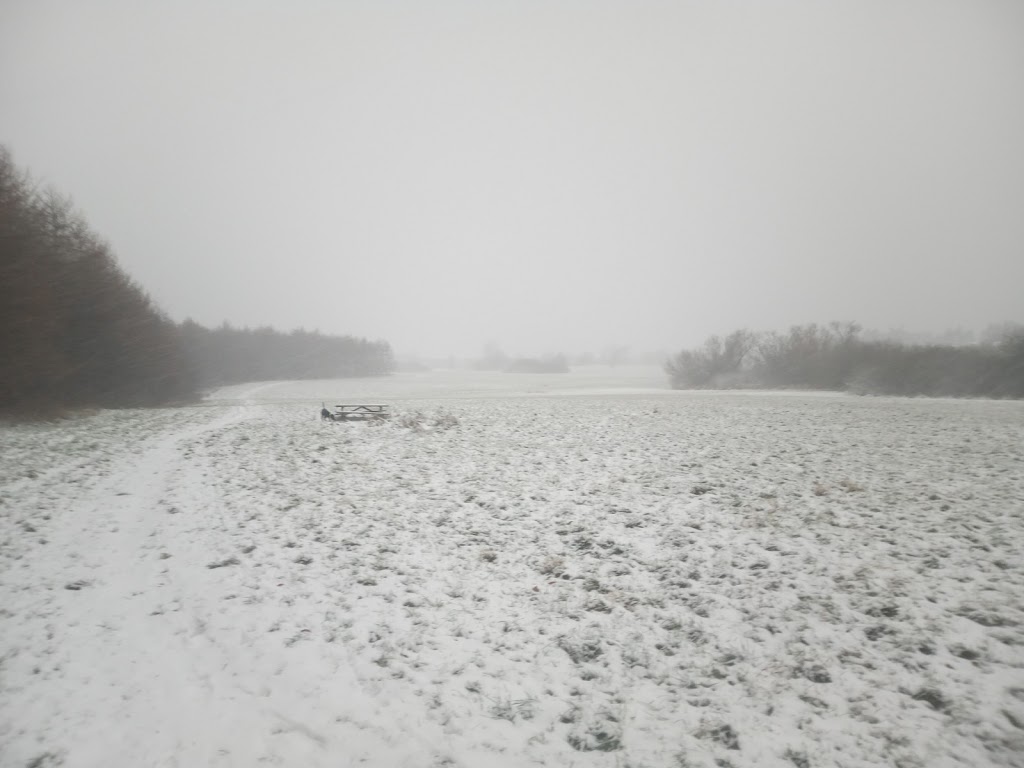 faelleden-holbaek-east-14.jpeg