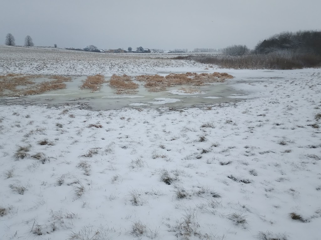 faelleden-holbaek-east-15.jpeg