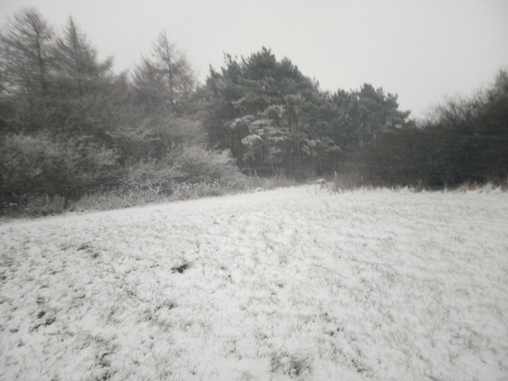 faelleden-holbaek-east-9.jpeg