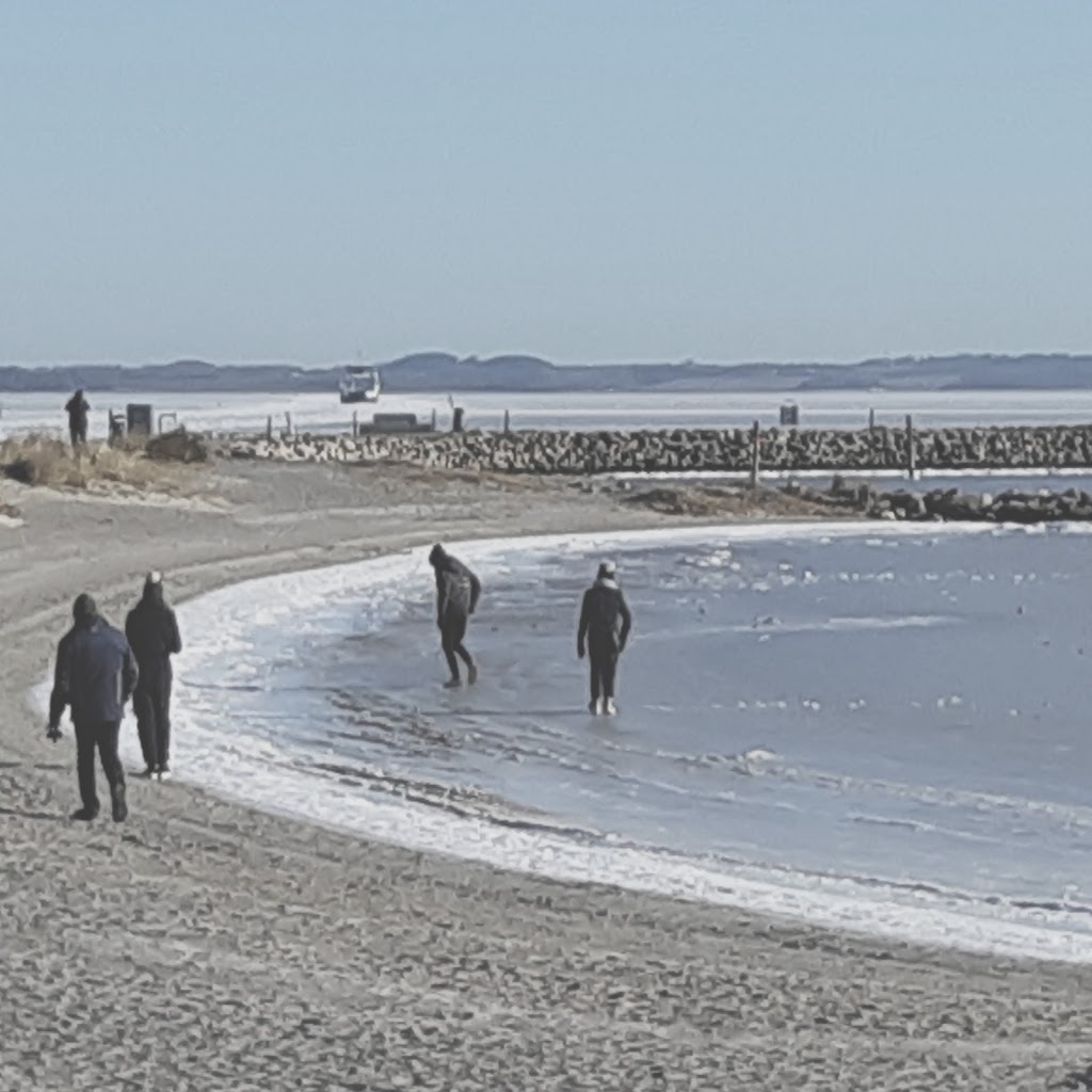 havnepladsen-havnevej-1.jpeg