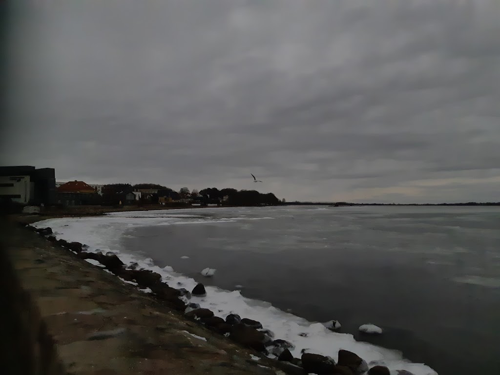 havnepladsen-havnevej-9.jpeg