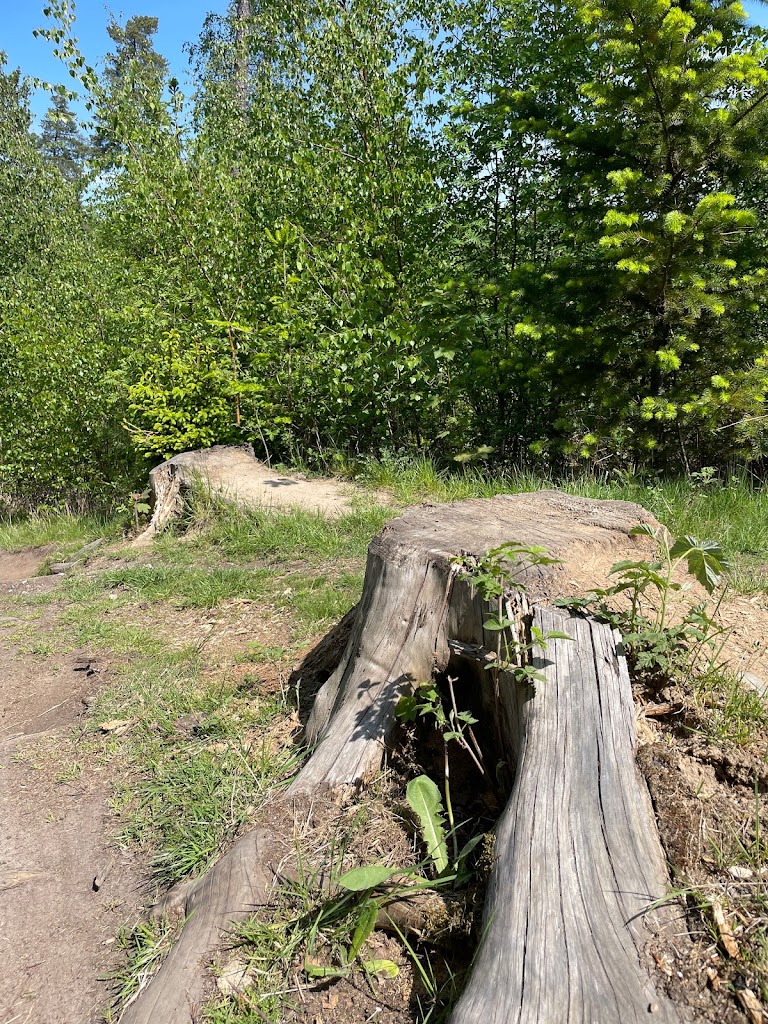 mtb-holte-0.jpeg