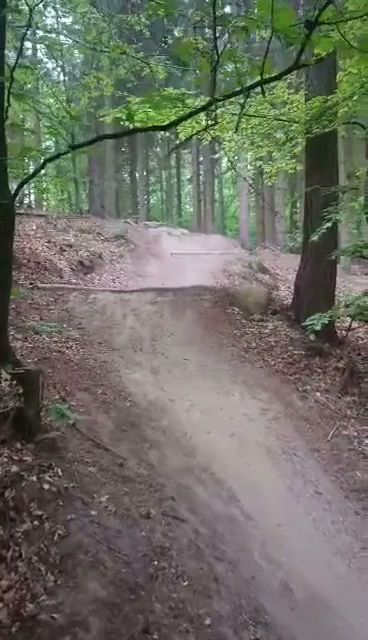 mtb-holte-10.jpeg