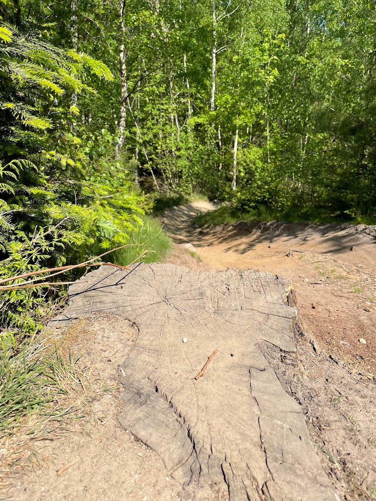 mtb-holte-12.jpeg