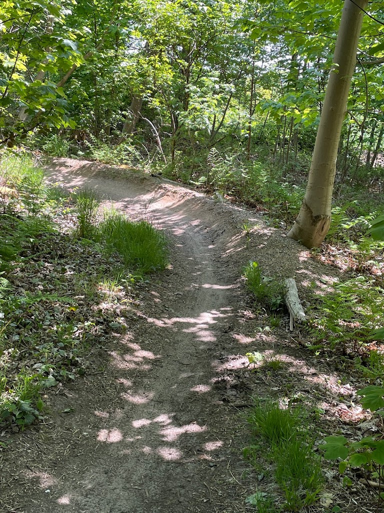 mtb-holte-13.jpeg