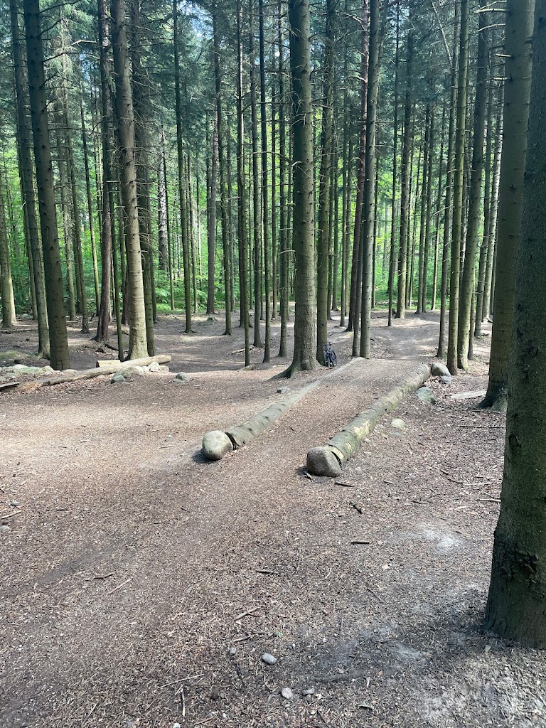 mtb-holte-14.jpeg