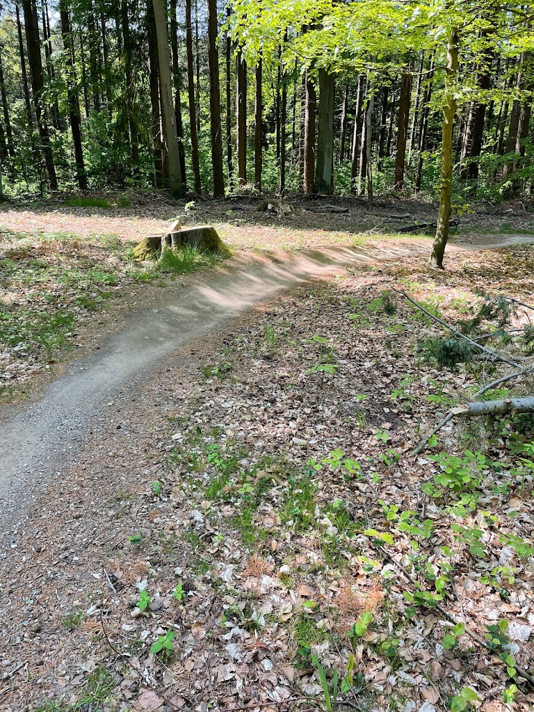 mtb-holte-16.jpeg