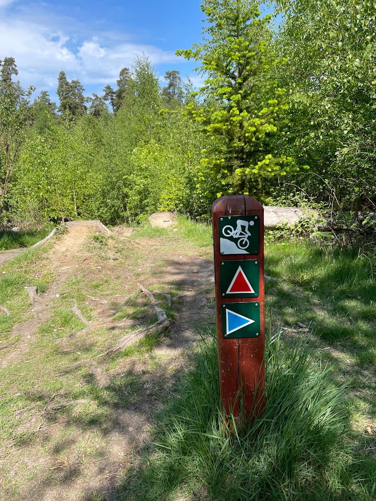 mtb-holte-2.jpeg