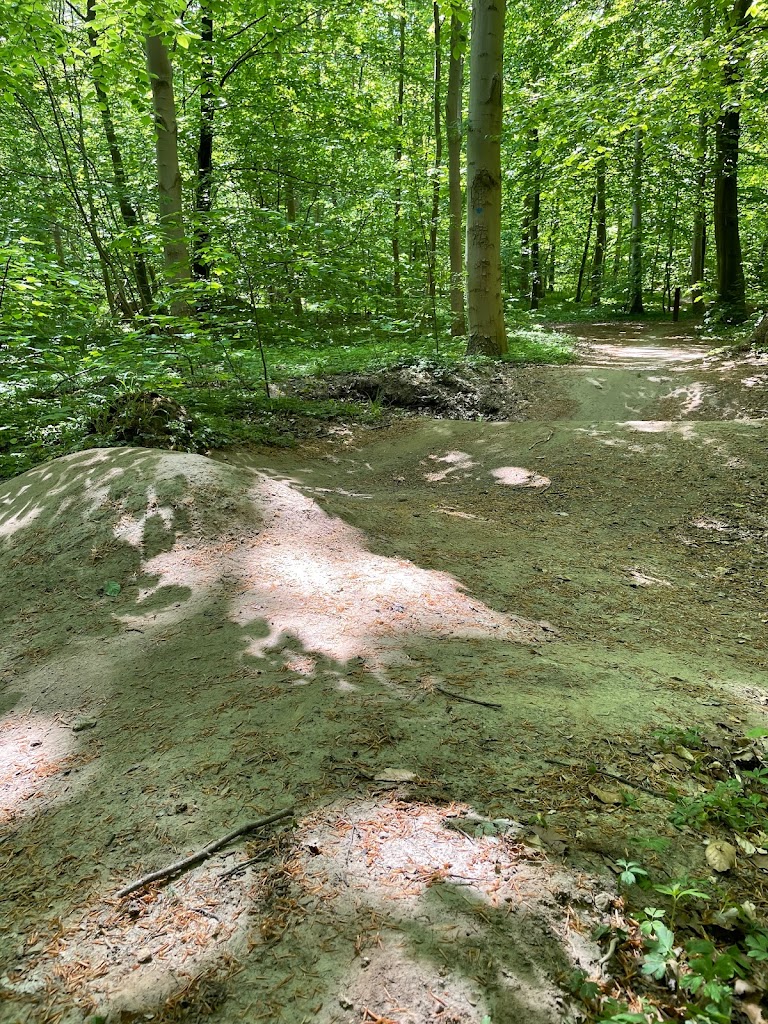 mtb-holte-7.jpeg