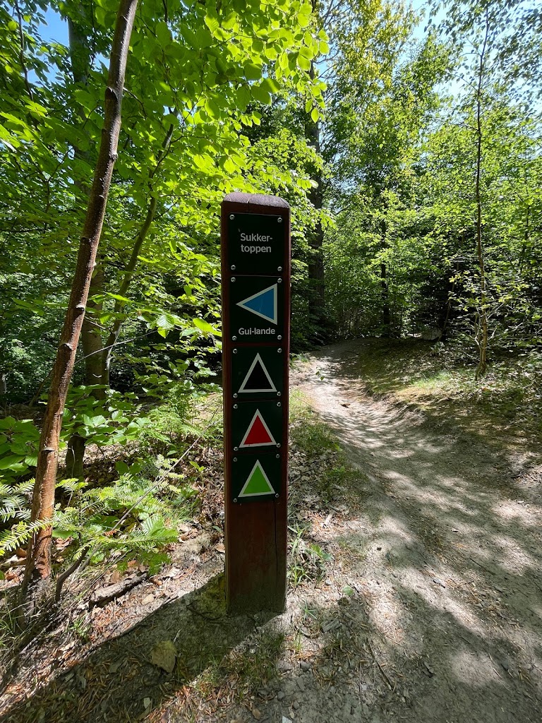 mtb-holte-8.jpeg