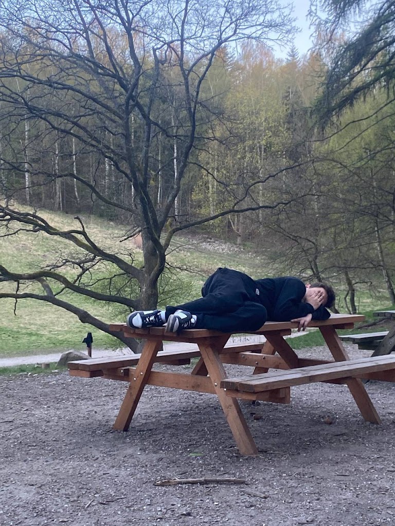 picnic-and-camping-area-10.jpeg