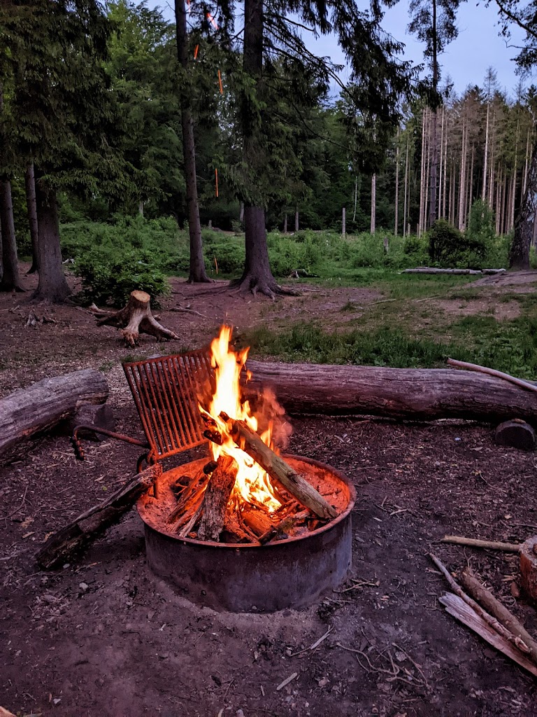 picnic-and-camping-area-4.jpeg