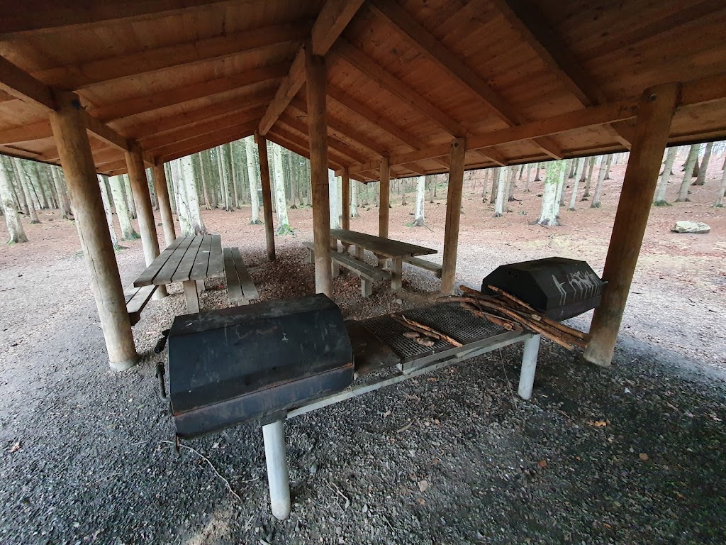 picnic-and-camping-area-5.jpeg