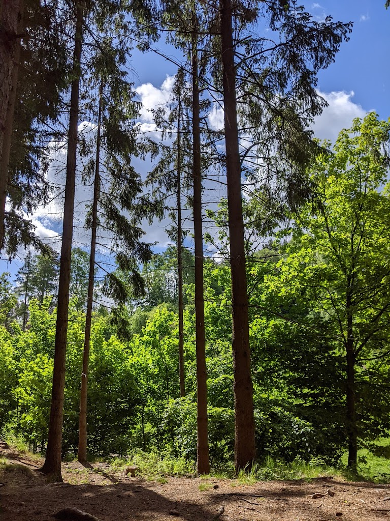 picnic-and-camping-area-6.jpeg