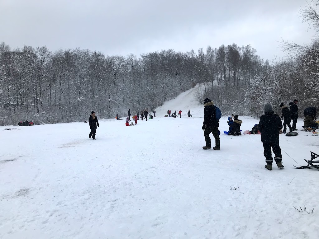 frostavallens-pulkabacke-15.jpeg