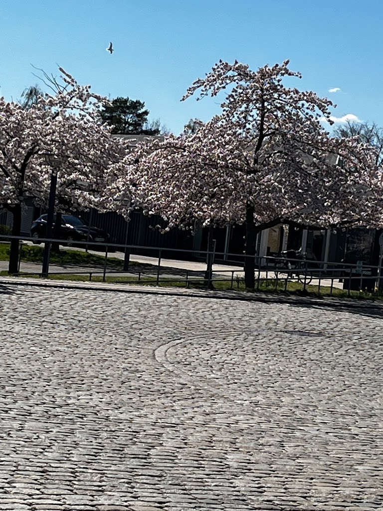 humlebaek-st-vest-humlebaek-st-0.jpeg