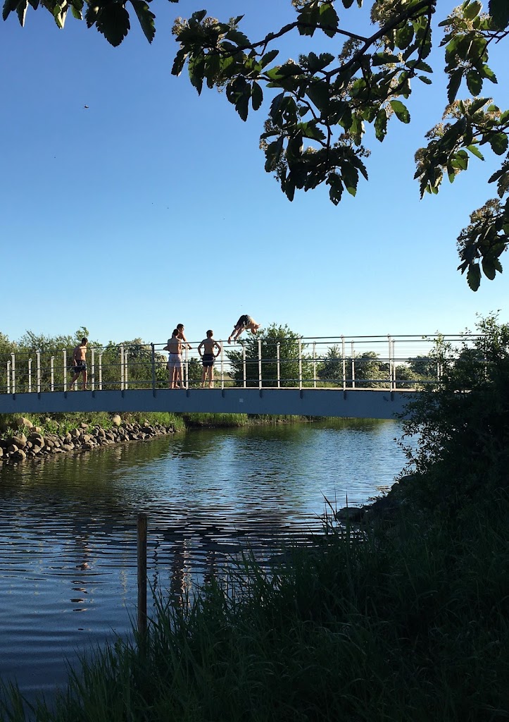 hvidovre-strandpark-10.jpeg