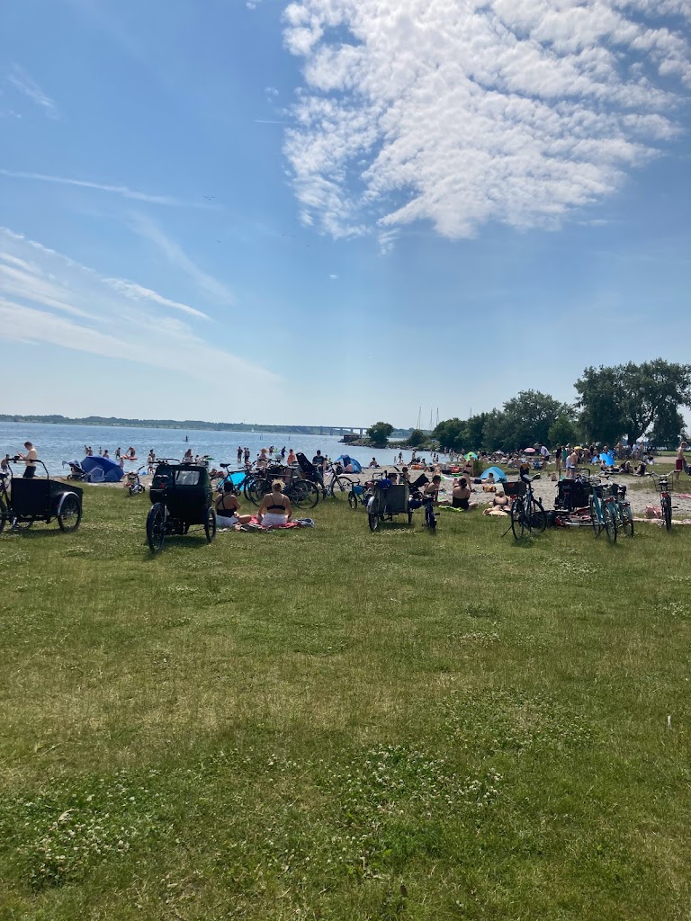 hvidovre-strandpark-3.jpeg