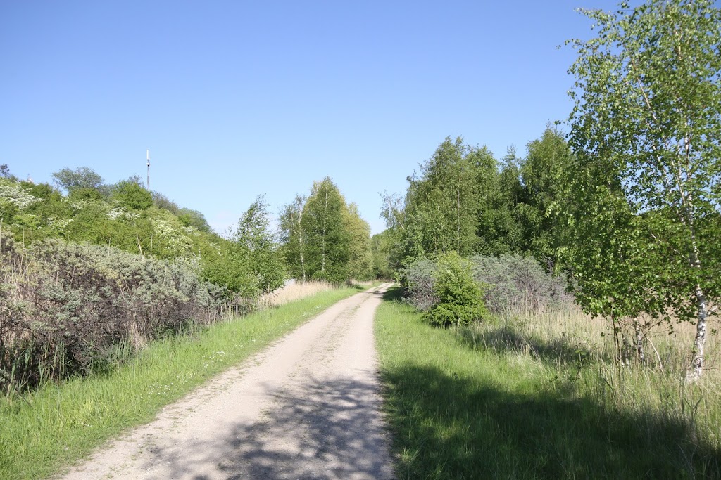 oen-i-birkedam-0.jpeg