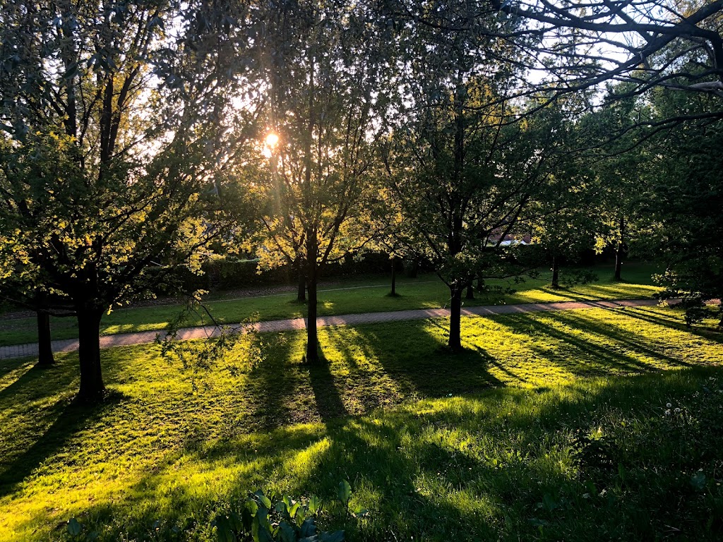travbaneparken-8.jpeg