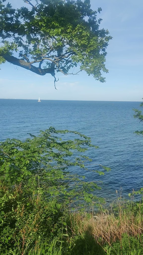 jaegersborg-strandhave-11.jpeg