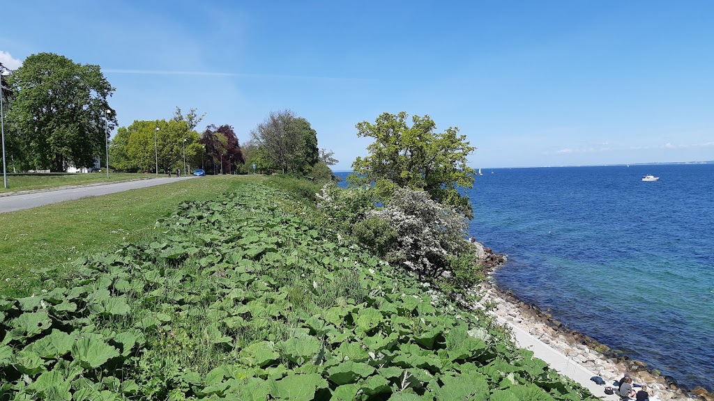 jaegersborg-strandhave-17.jpeg