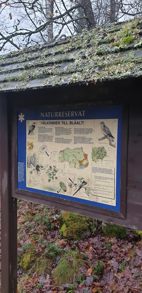 blaalts-naturreservat-3.jpeg