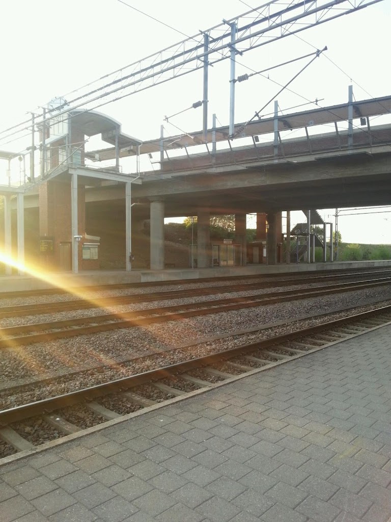 laholm-5.jpeg