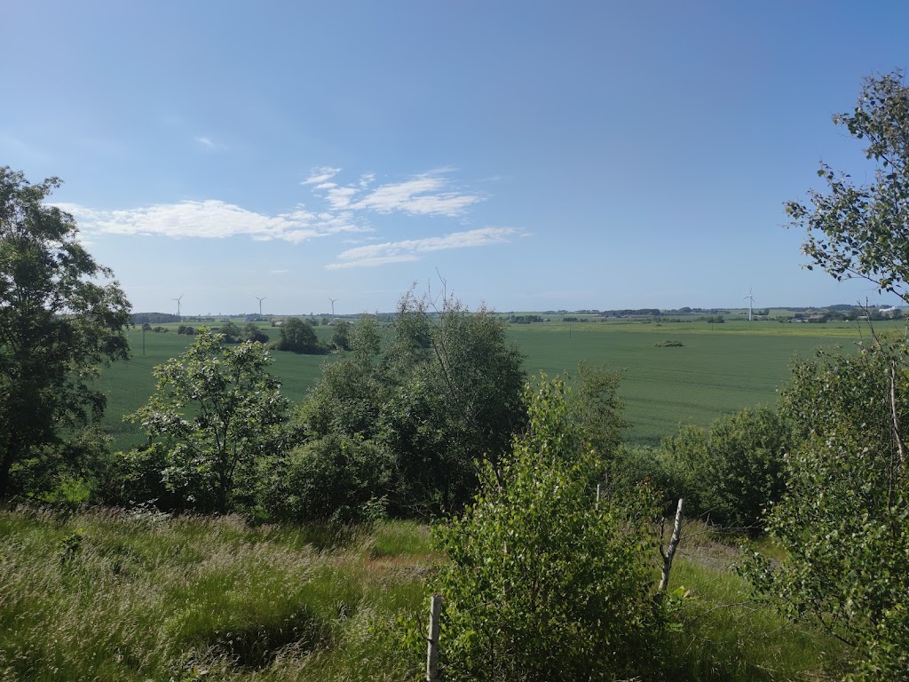 minnesmarke-over-slaget-vid-genevadsbro-1.jpeg