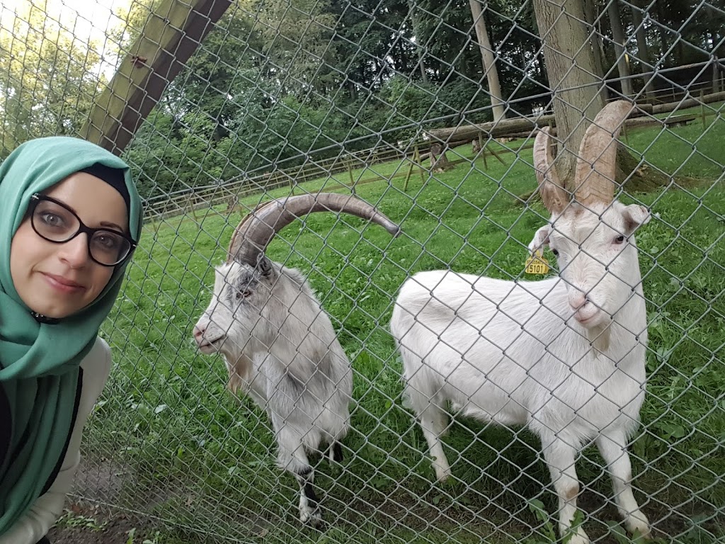 djurparken-12.jpeg