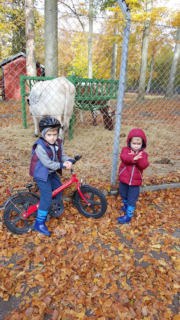 djurparken-15.jpeg