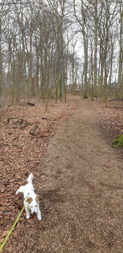 djurparken-6.jpeg
