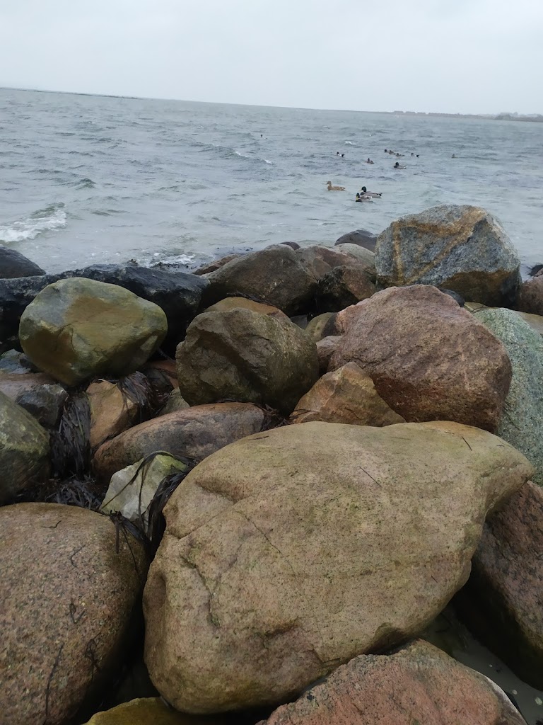 landskrona-suellsgatan-12.jpeg