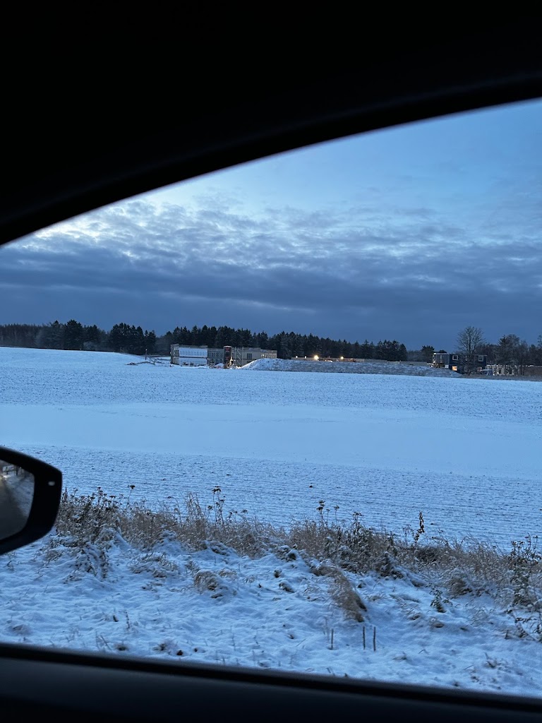 sortemosevej-banevang-4.jpeg