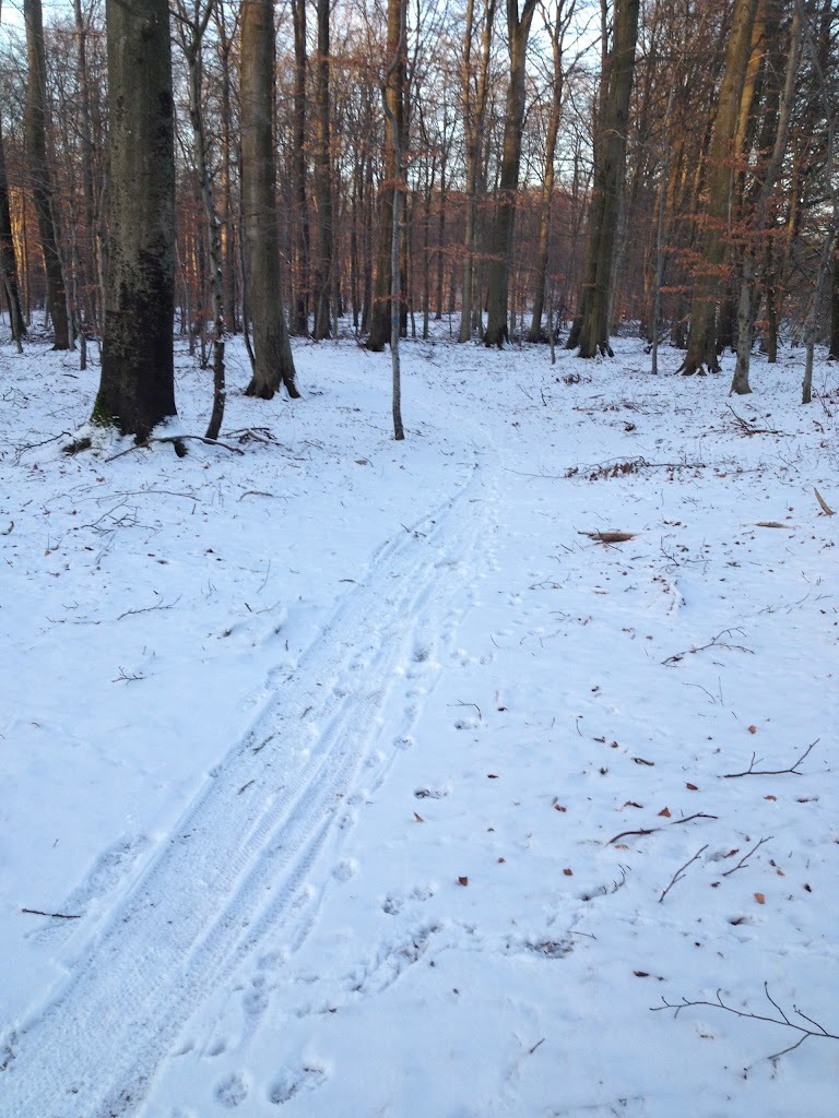 tokkekob-hegn-blat-spor-11.jpeg