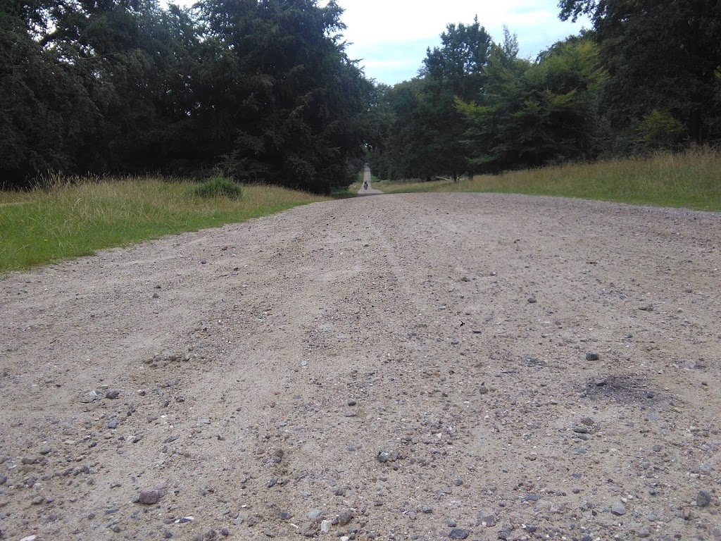 social-trail-og-styketraening-i-dyrehaven-10.jpeg