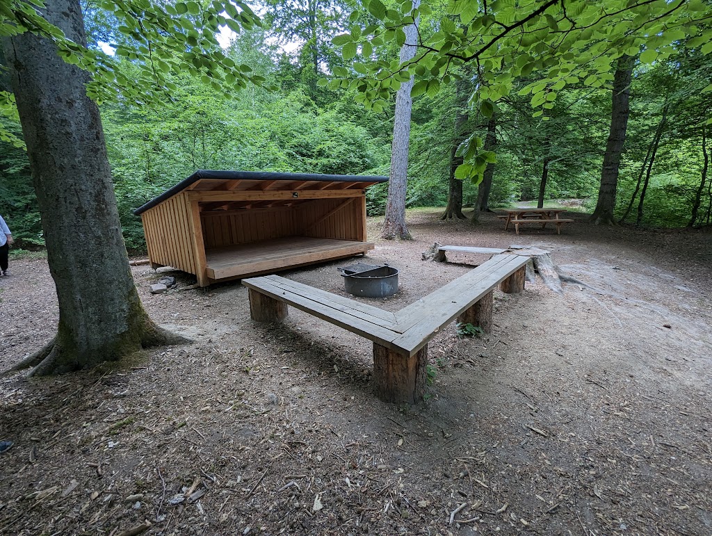 forest-ganlose-10.jpeg