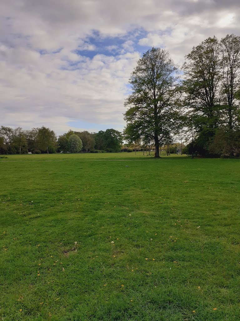 dog-park-mellanhedsparken-16.jpeg