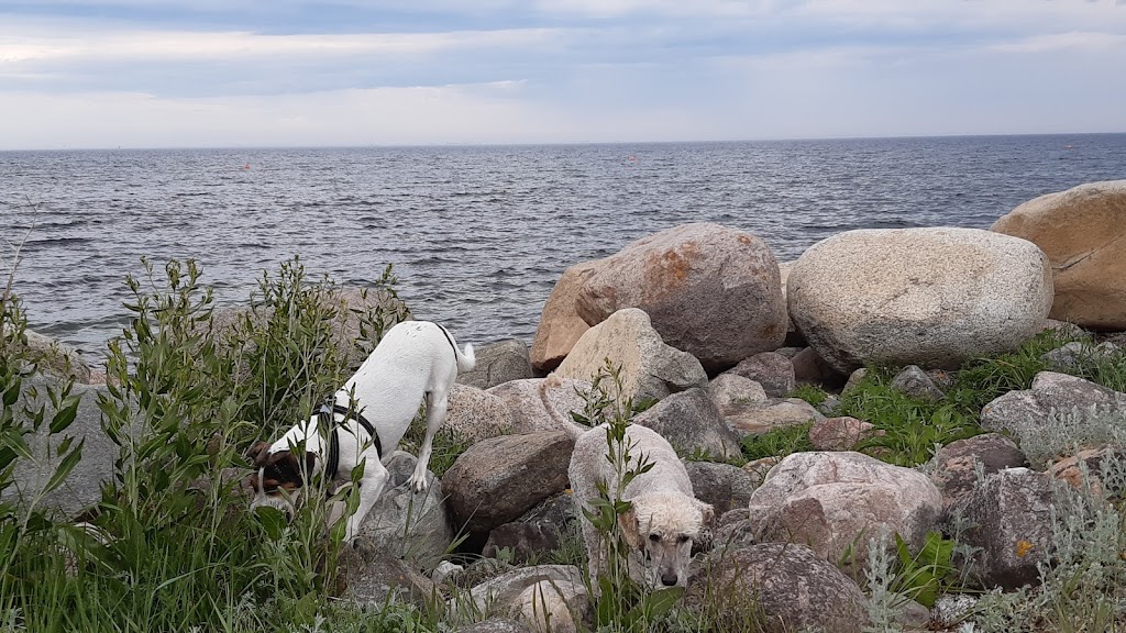 hundbadet-ribersborg-parkering-8.jpeg