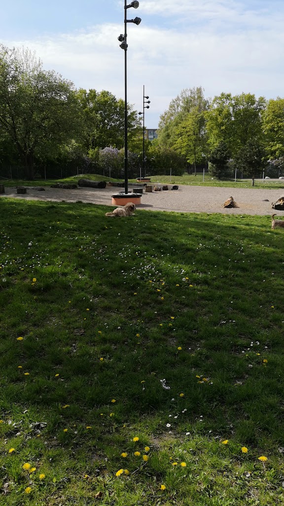 kroksbacksparken-dog-park-10.jpeg