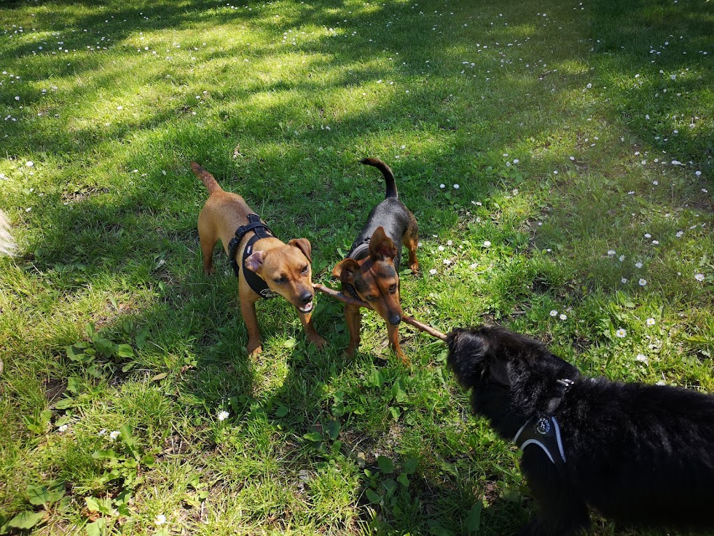kroksbacksparken-dog-park-3.jpeg