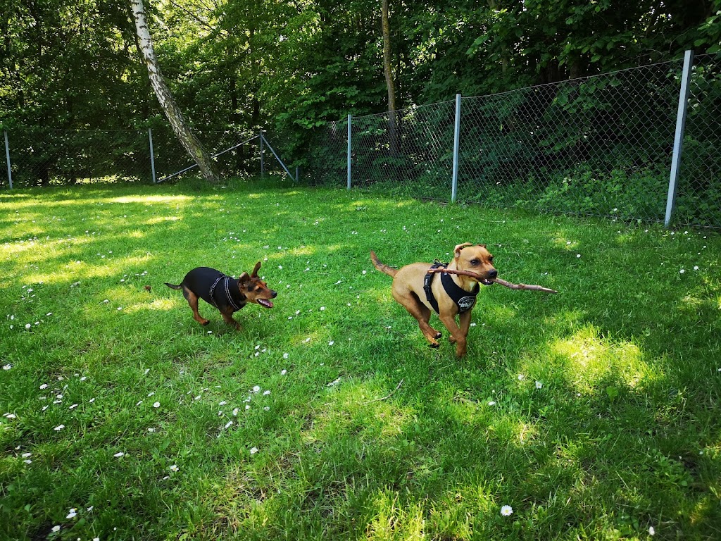 kroksbacksparken-dog-park-5.jpeg