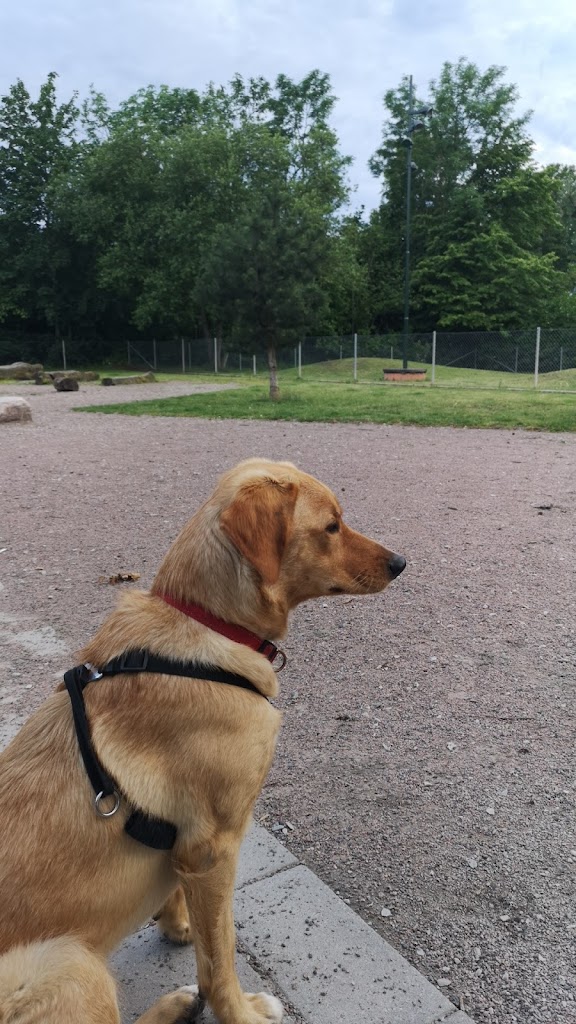 kroksbacksparken-dog-park-6.jpeg