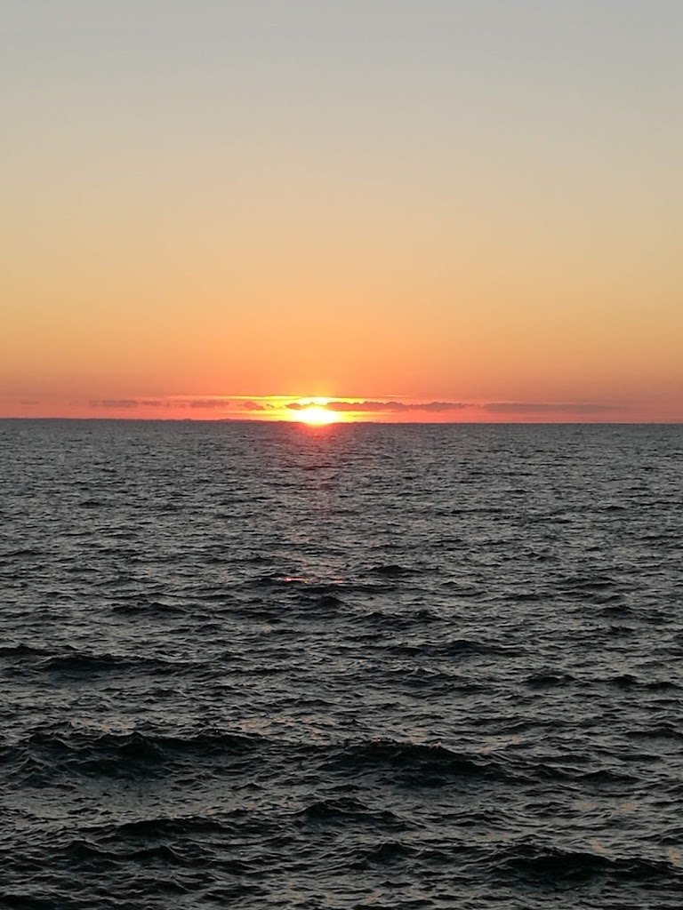 malmo-dockan-17.jpeg