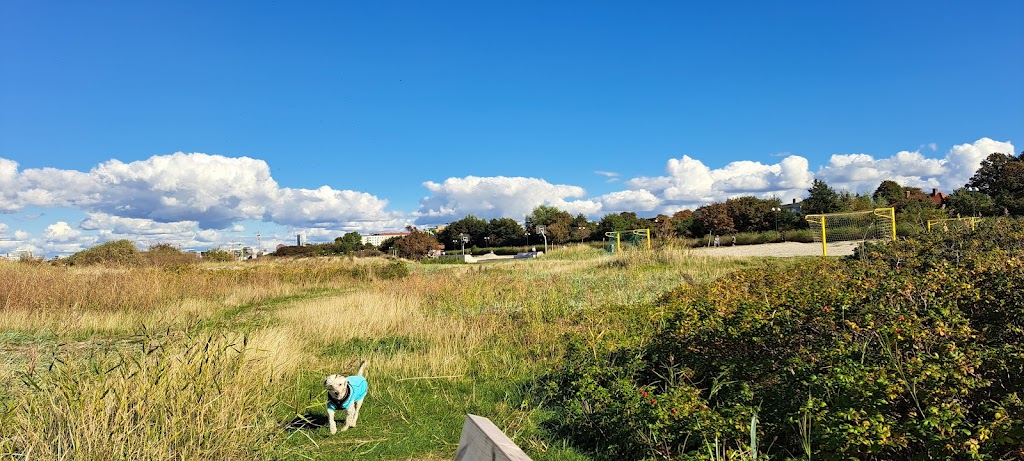 malmo-t-bryggan-3.jpeg
